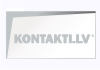 Ertslatv